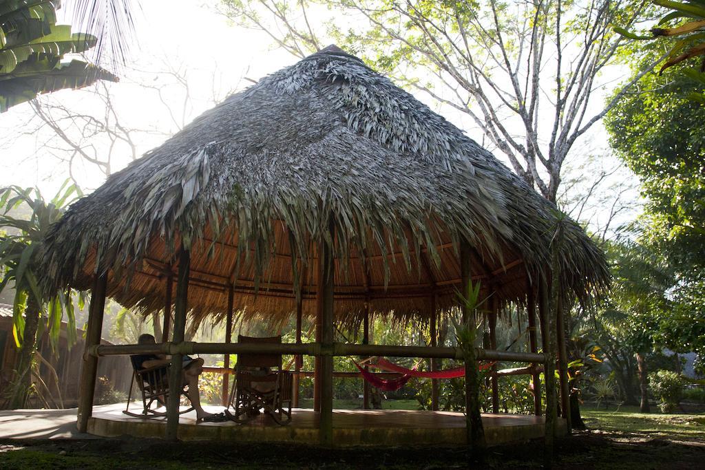 Turtle Beach Lodge 托尔图格罗 外观 照片